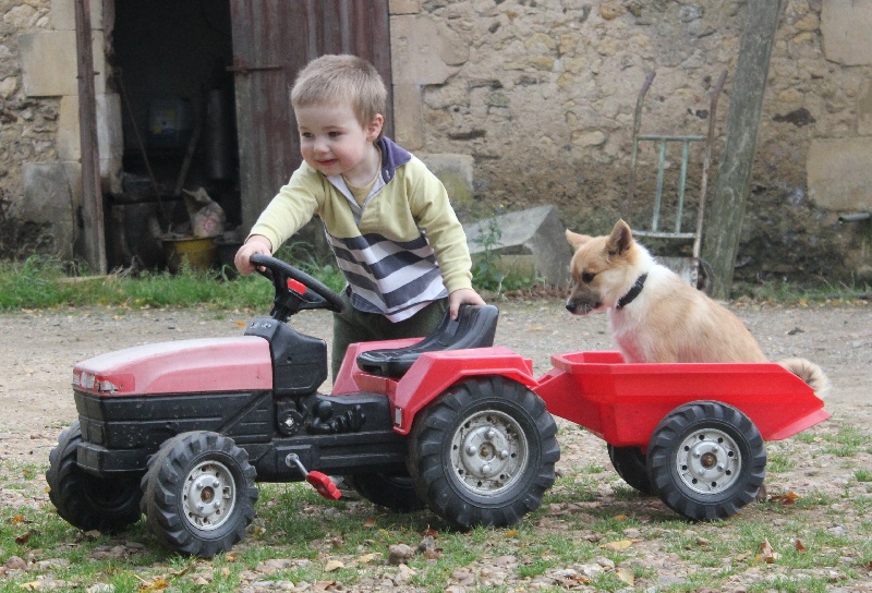 les enfants et nos bergers